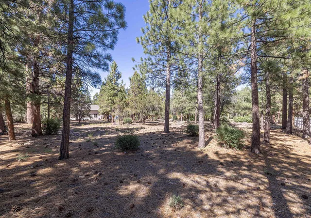 Photo 3 of Land for sale at 655 Cedar Glen Dr, Big Bear City, CA 92314 | MLS# 219149230PS | Listing updated on 2026-06-15