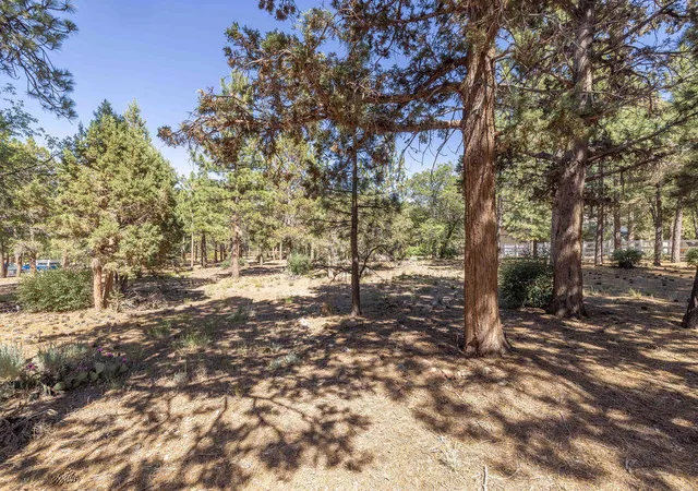 Photo 4 of Land for sale at 655 Cedar Glen Dr, Big Bear City, CA 92314 | MLS# 219149230PS | Listing updated on 2026-06-15