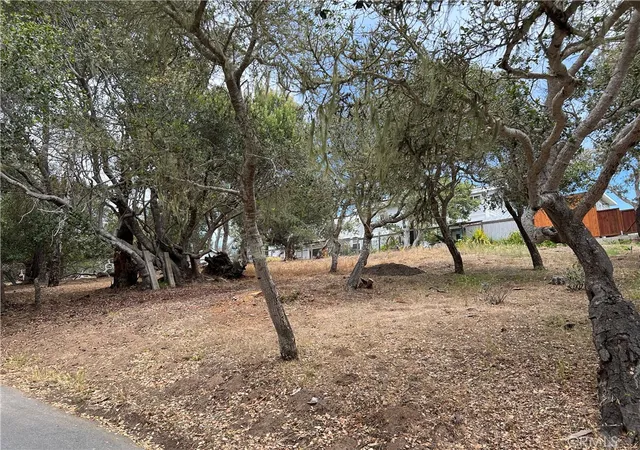 Homes for sale in Cambria, CA | 0 Langton, Cambria, CA 93428 | MLS# SC26130082