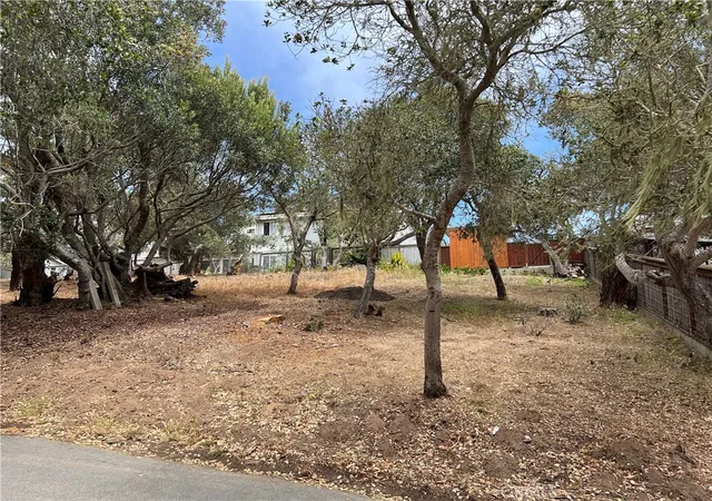 Homes for sale in Cambria, CA | 0 Langton, Cambria, CA 93428 | MLS# SC26130082
