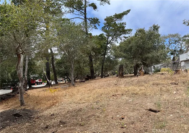 Homes for sale in Cambria, CA | 0 Langton, Cambria, CA 93428 | MLS# SC26130082