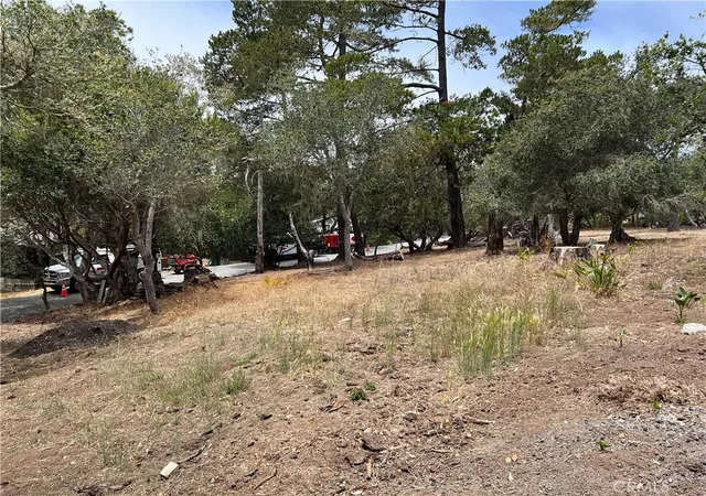 Homes for sale in Cambria, CA | 0 Langton, Cambria, CA 93428 | MLS# SC26130082