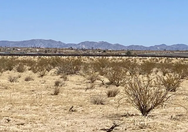 2nd image of 112 Amboy Rd, Twentynine Palms, CA 92277 | MLS# 219149249PS