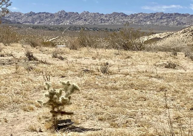 4th image of 112 Amboy Rd, Twentynine Palms, CA 92277 | MLS# 219149249PS