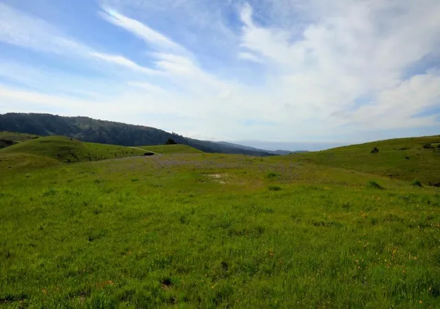 5th image of 1 Peñon Peak Trail (Lot 217), Carmel, CA 93923 | MLS# ML82051228