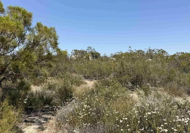 Photo 2 of Land for sale at 558 Derby Way, Aguanga, CA 92536 | MLS# PTP2604629 | Listing updated on 2026-09-10