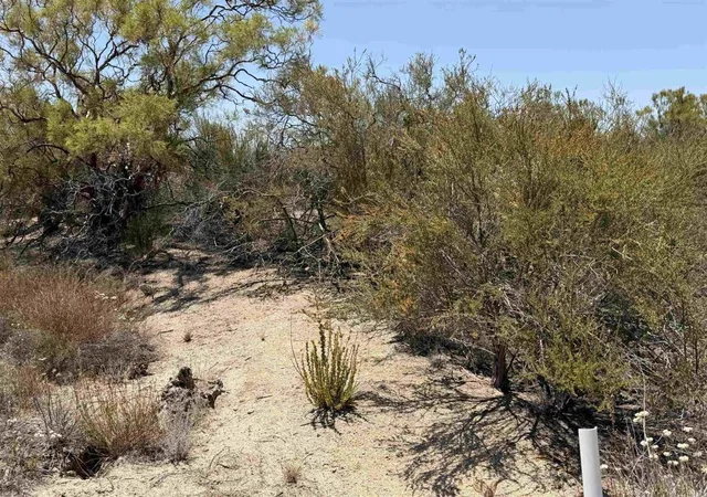 Photo 3 of Land for sale at 558 Derby Way, Aguanga, CA 92536 | MLS# PTP2604629 | Listing updated on 2026-09-10