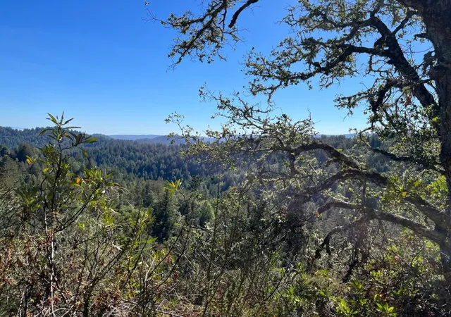 Homes for sale in Boulder Creek, CA | Bear Creek Rd, Boulder Creek, CA 95006 | MLS# ML82051288