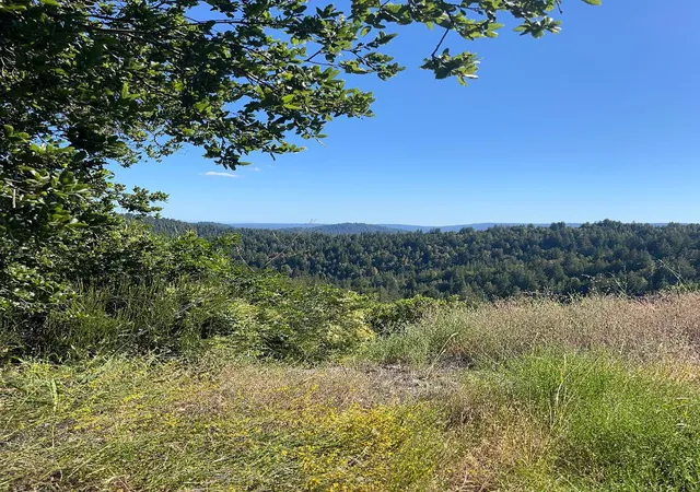 Homes for sale in Boulder Creek, CA | Bear Creek Rd, Boulder Creek, CA 95006 | MLS# ML82051288