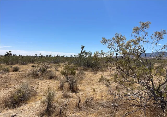 1st image of 0 213th, Llano, CA 93544 | MLS# SW26132202