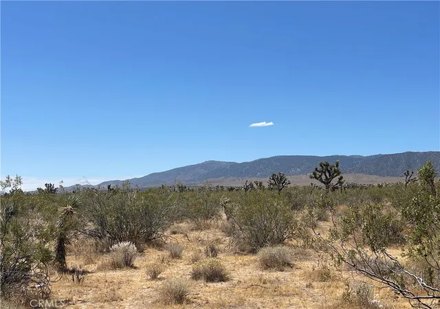 2nd image of 0 213th, Llano, CA 93544 | MLS# SW26132202