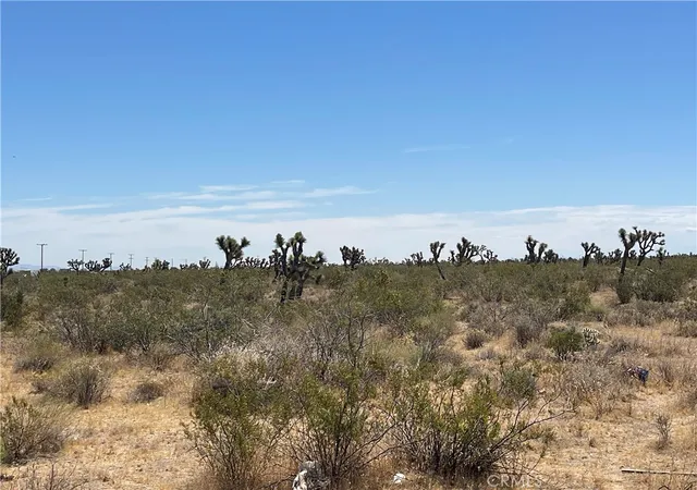 5th image of 0 213Th, Llano, CA 93544 | MLS# SW26132202