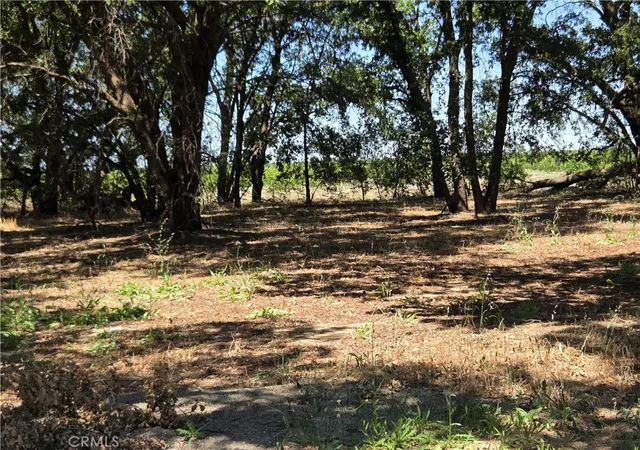 3rd image of 0 N B Street, Corning, CA 96021 | MLS# SN26132743
