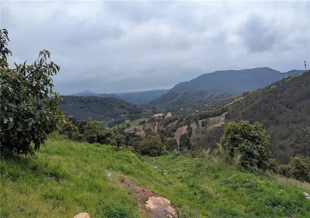 20th image of 48825 Via Vaquero, Temecula, CA 92590 | MLS# SW26131060