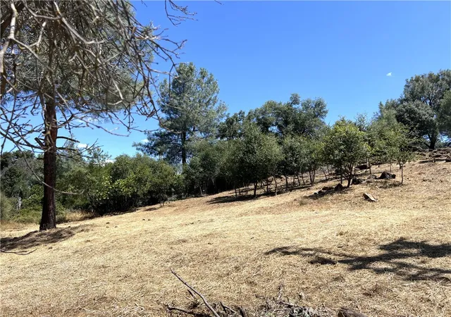 Homes for sale in Clearlake, CA | 15686 23rd Ave, Clearlake, CA 95422 | MLS# LC26131347