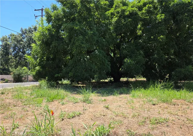 Photo 1 of Land for sale at 0 North 2nd, Tehama, CA 96090 | MLS# SN26133309 | Listing updated on 2026-06-18