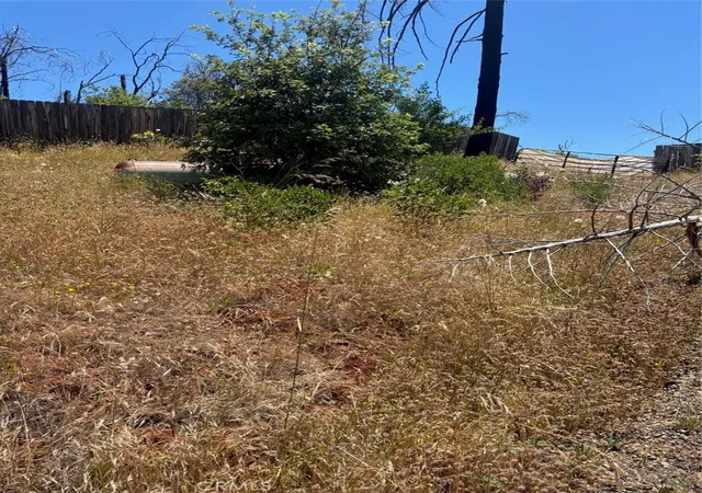 Photo 3 of Land for sale at 201 Pine Tree, Berry Creek, CA 95916 | MLS# SN26133019 | Listing updated on 2026-06-18