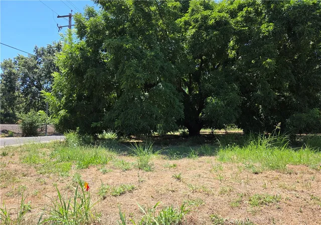 Photo 2 of Land for sale at 0 North 4th St, Tehama, CA 96090 | MLS# SN26133379 | Listing updated on 2026-06-22