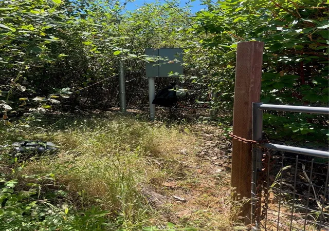 Photo 3 of Land for sale at 31 Rip Van, Berry Creek, CA 95916 | MLS# SN26133386 | Listing updated on 2026-06-18