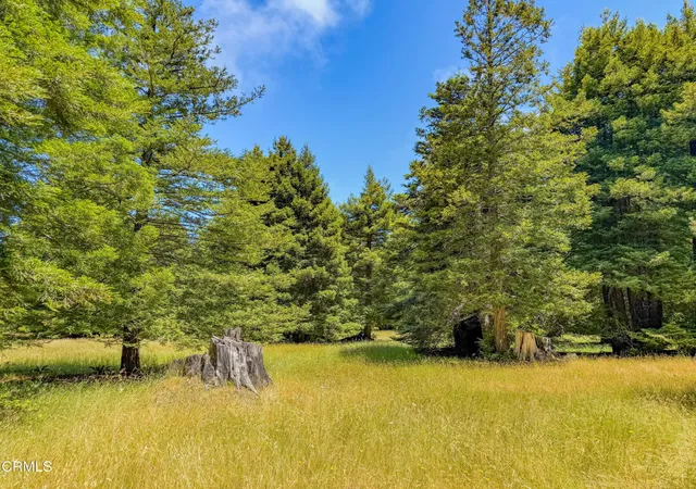 Photo 2 of Land for sale at 32700 Nameless Ln, Fort Bragg, CA 95437 | MLS# C1-11436 | Listing updated on 2026-06-23