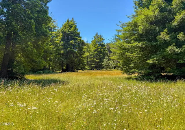 Photo 3 of Land for sale at 32700 Nameless Ln, Fort Bragg, CA 95437 | MLS# C1-11436 | Listing updated on 2026-06-23