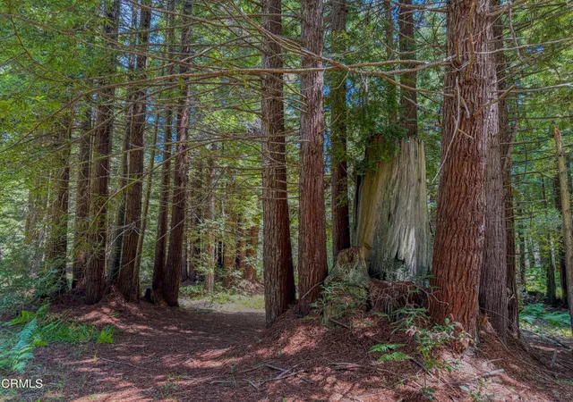 Photo 3 of Land for sale at 32700 Nameless Ln, Fort Bragg, CA 95437 | MLS# C1-11436 | Listing updated on 2026-06-23
