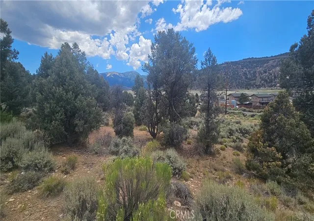 Homes for sale in Big Bear City, CA | 0 Baldwin Lake Rd, Big Bear City, CA 92314 | MLS# IG26126730