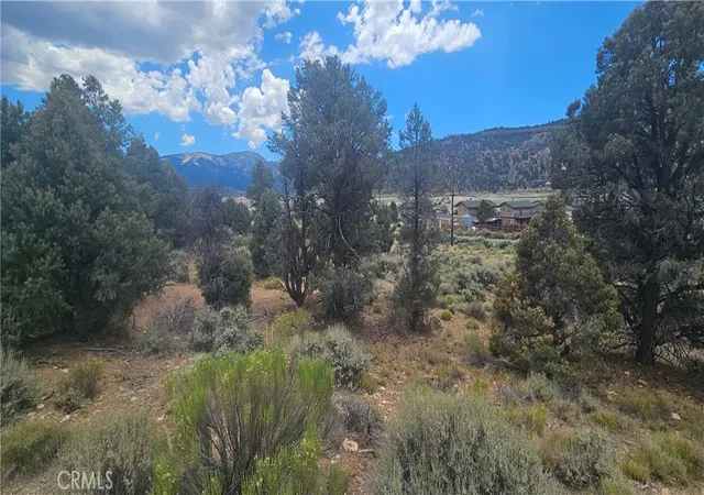 Photo 3 of Land for sale at 0 Baldwin Lake Rd, Big Bear City, CA 92314 | MLS# IG26126730 | Listing updated on 2026-06-19