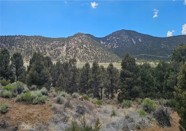 Photo 3 of Land for sale at 0 Baldwin Lake Rd, Big Bear City, CA 92314 | MLS# IG26126730 | Listing updated on 2026-06-19