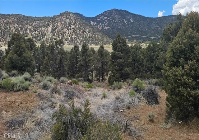 Photo 4 of Land for sale at 0 Baldwin Lake Rd, Big Bear City, CA 92314 | MLS# IG26126730 | Listing updated on 2026-06-19