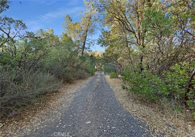 4th image of 0 Swedes Flat, Bangor, CA 95914 | MLS# OR26133837