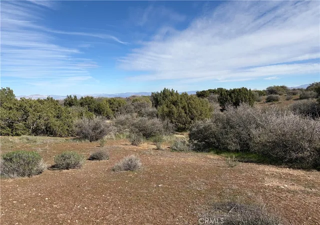 4th image of 8350 Cedar, Phelan, CA 92371 | MLS# IG26134010