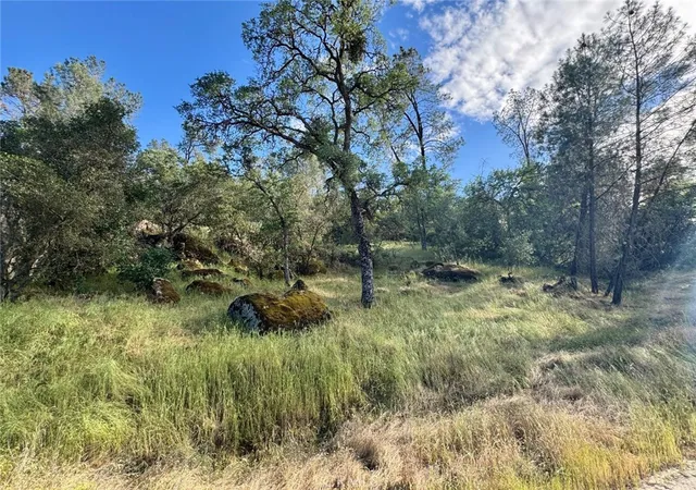 2nd image of 1 Road 400, Coarsegold, CA 93614 | MLS# FR26134514