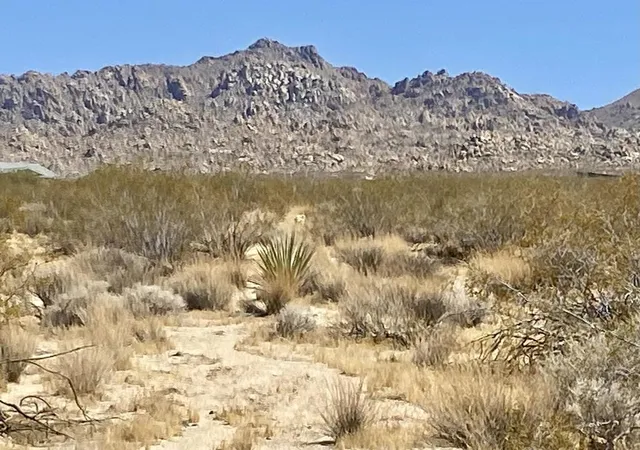 2nd image of 108 Twentynine Palms Hwy, Joshua Tree, CA 92252 | MLS# 219149430PS