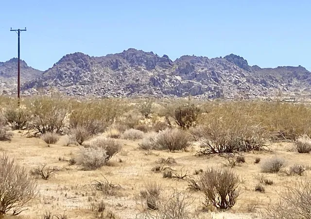 4th image of 108 Twentynine Palms Hwy, Joshua Tree, CA 92252 | MLS# 219149430PS
