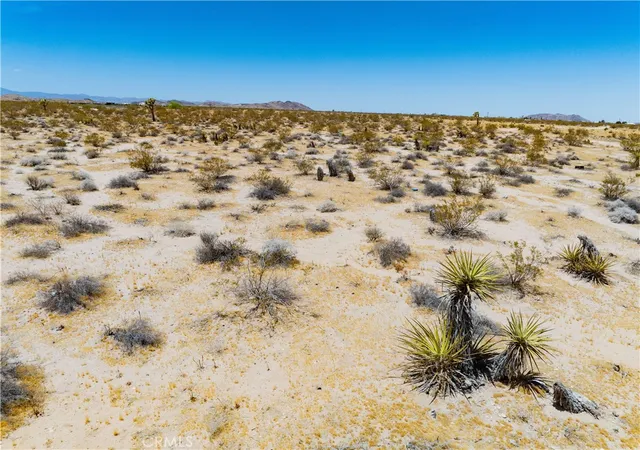 16th image of 61900 Moonlight Mesa St, Joshua Tree, CA 92252 | MLS# JT26133378