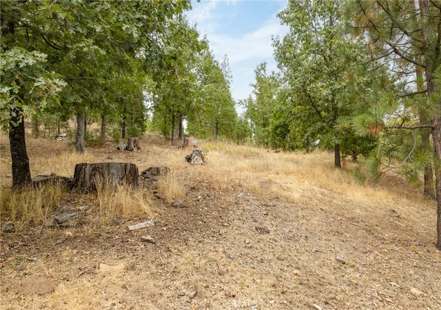 1st image of 26 Timberview Rd, North Fork, CA 93643 | MLS# FR26134589