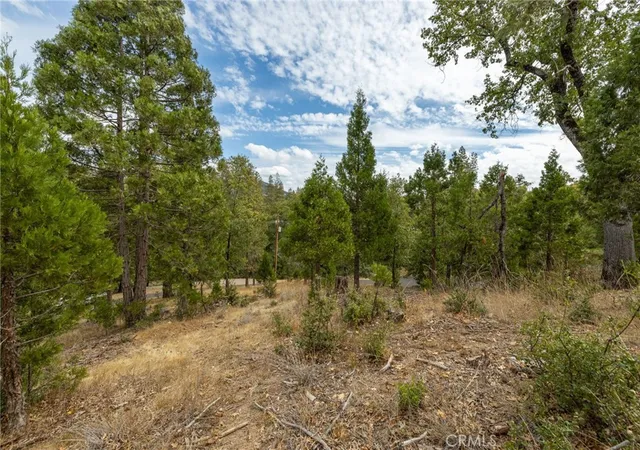 2nd image of 26 Timberview Rd, North Fork, CA 93643 | MLS# FR26134589