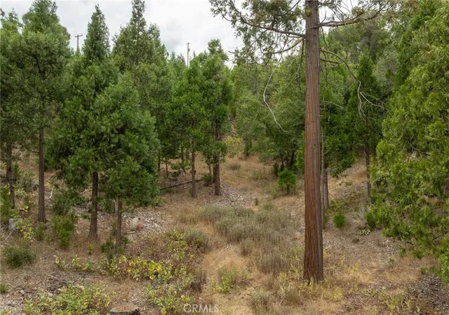 3rd image of 26 Timberview Rd, North Fork, CA 93643 | MLS# FR26134589