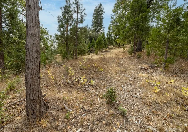 60th image of 26 Timberview Rd, North Fork, CA 93643 | MLS# FR26134589
