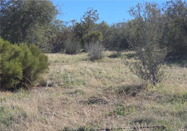 Homes for sale in Anza, CA | 0 Taron Trail, Anza, CA 92539 | MLS# SW26132475