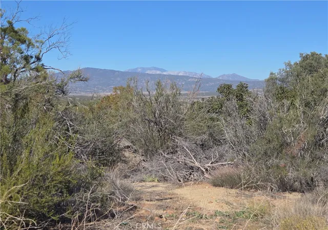 3rd image of 0 Taron Trail, Anza, CA 92539 | MLS# SW26132475