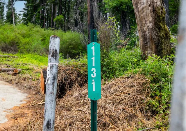 Homes for sale in Boulder Creek, CA | 1131 Rambling Rd, Boulder Creek, CA 95006 | MLS# ML82051710