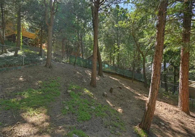 40th image of 23869 Wildwood, Crestline, CA 92325 | MLS# IG26134839