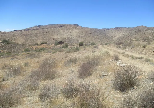 2nd image of 28 Hughes, Acton, CA 93510 | MLS# 219149447PS