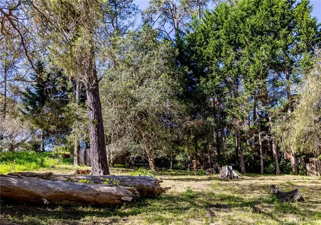 Homes for sale in Cambria, CA | 0 Spencer St, Cambria, CA 93428 | MLS# SC26135015