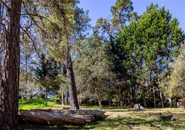 Homes for sale in Cambria, CA | 0 Spencer St, Cambria, CA 93428 | MLS# SC26135015