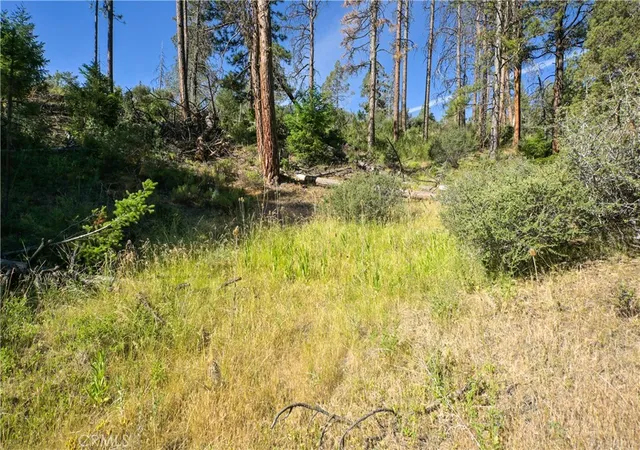 1st image of 1 Duzel Creek Road, Fort Jones, CA 96032 | MLS# SN26135037