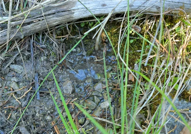 4th image of 1 Duzel Creek Road, Fort Jones, CA 96032 | MLS# SN26135037