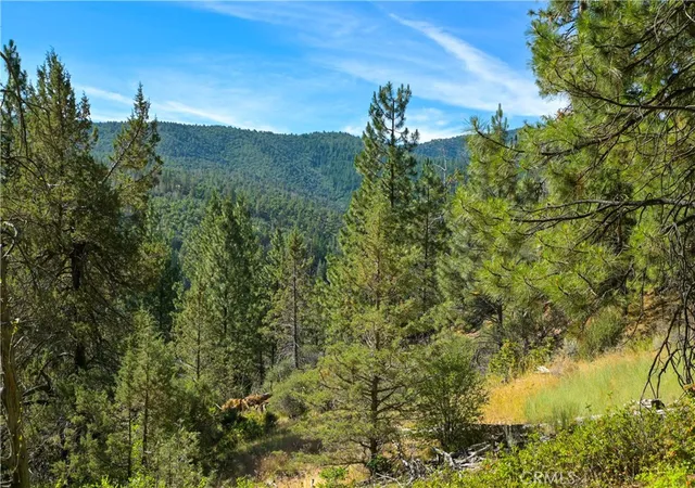 5th image of 1 Duzel Creek Road, Fort Jones, CA 96032 | MLS# SN26135037